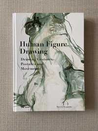 Human figure drawing: drawing gestures, postures and movements
