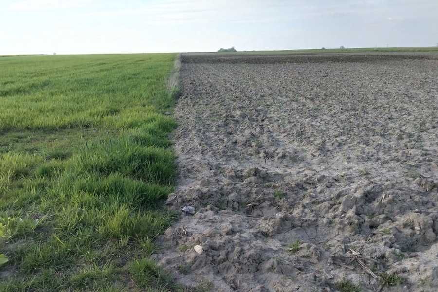 Działka BUDOWLANA 5924 m² - Latowicz - MIŃSK Maz. - WARUNKI ZABUDOWY