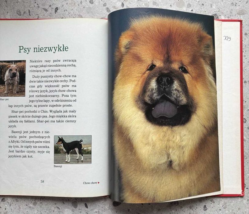 Psy Dziecięca Biblioteka Przyrody Album ilustrowany