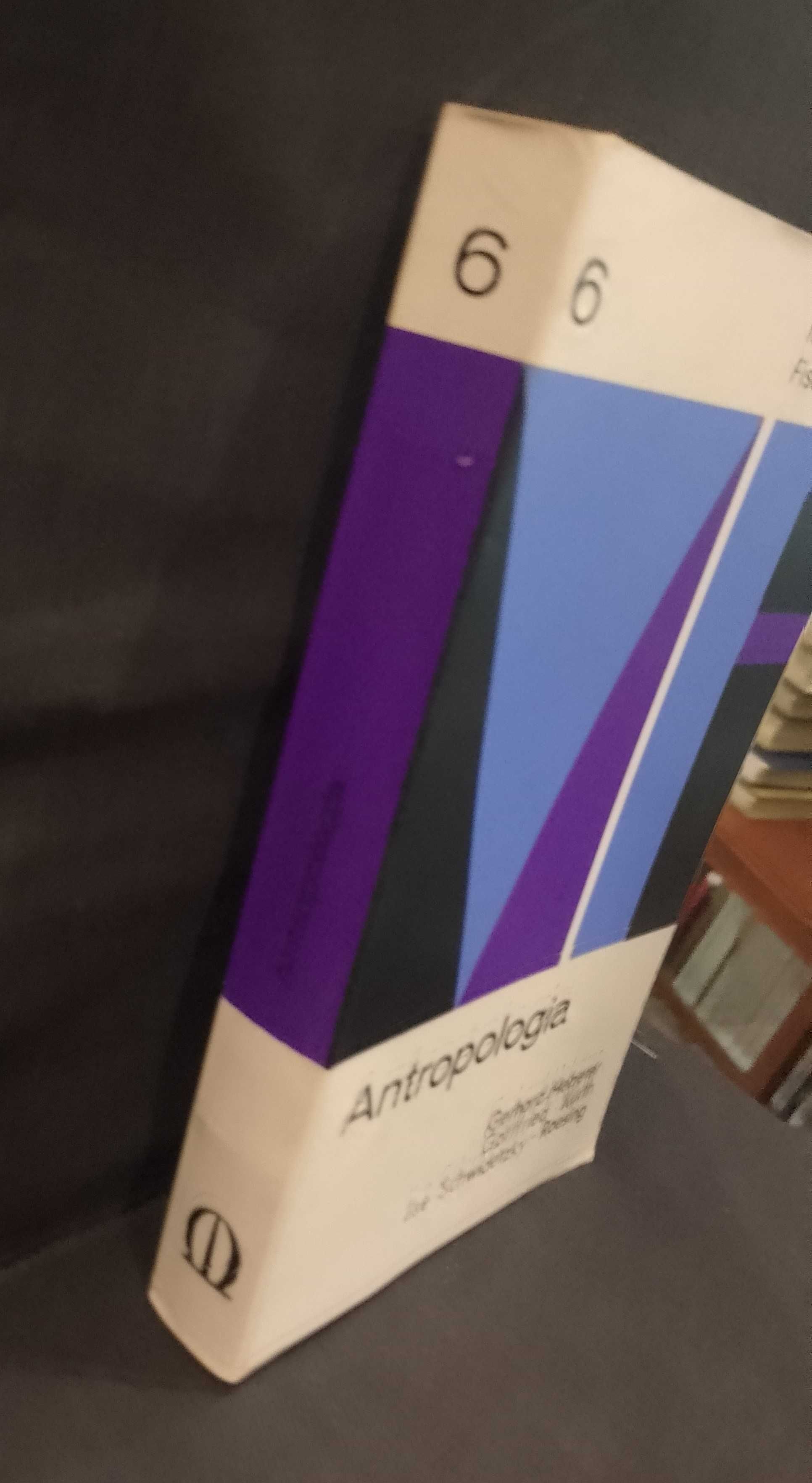 Antropologia - Enciclopédia Mediriano / Fischer
