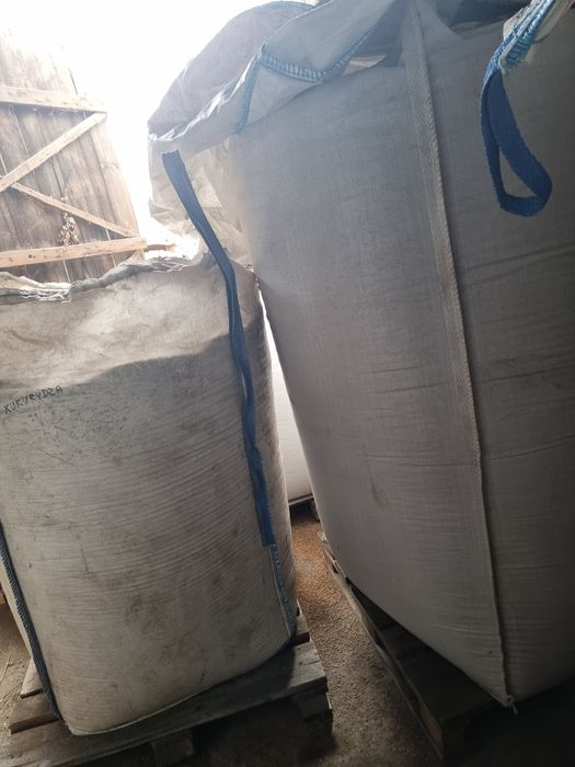 Pszenica ozima  Hyvega Owies ozimy