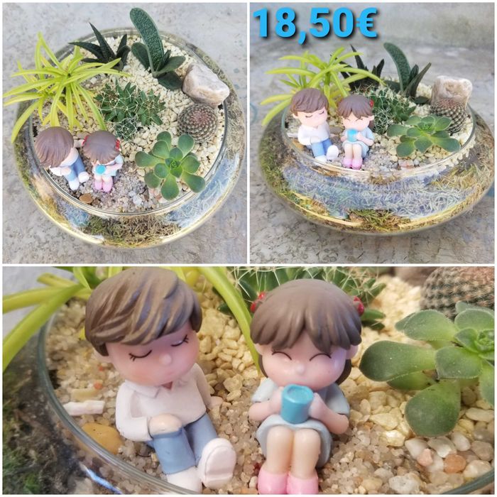 Arranjo de Suculenta