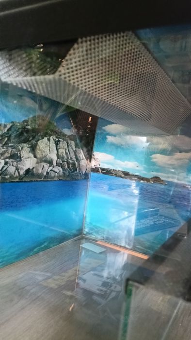 Terrarium dla żółwia jaszczurki