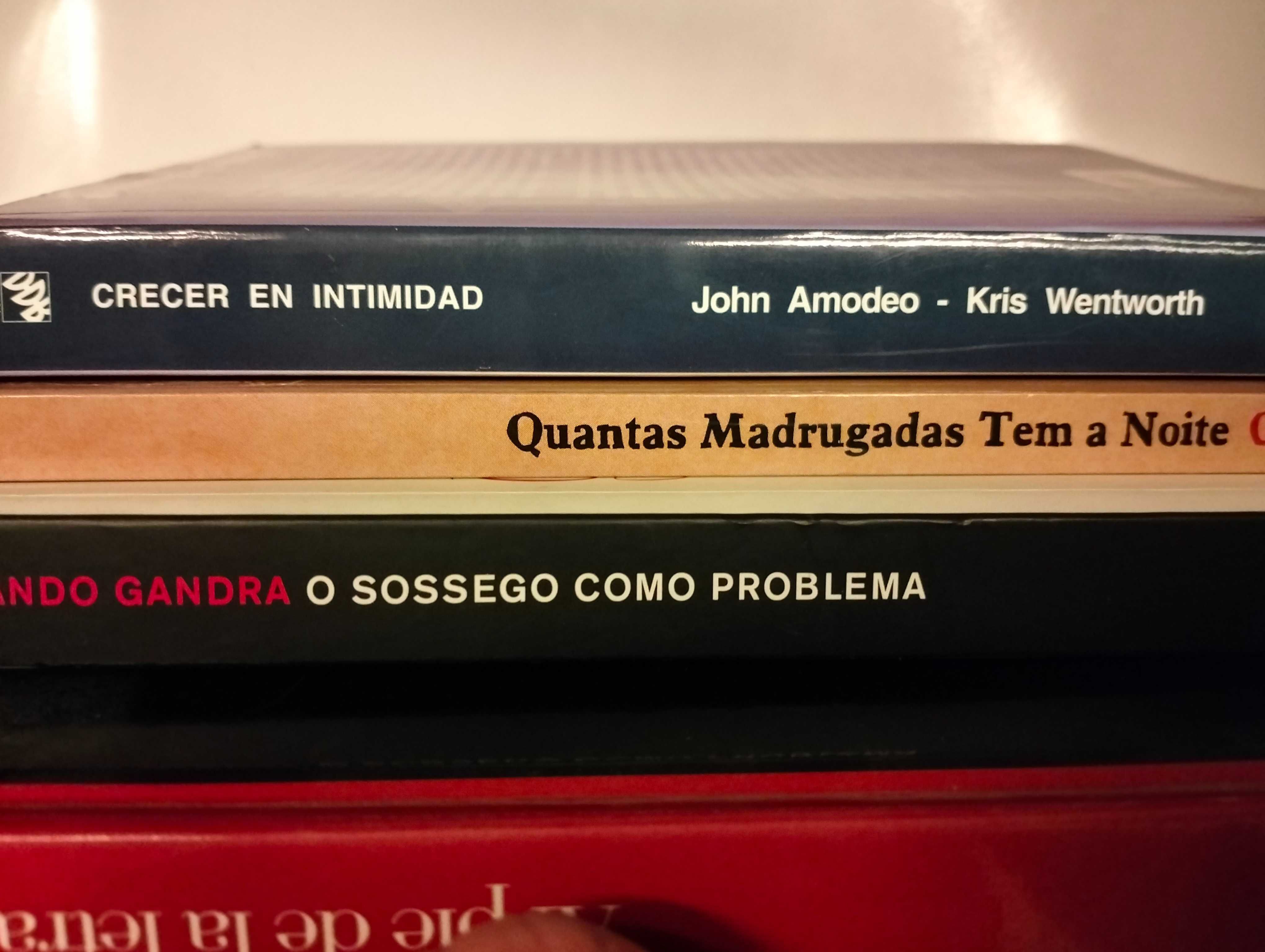 Livros vários: Romance e Poesia, Ensaio.