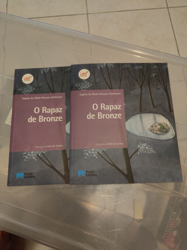 O Rapaz de Bronze