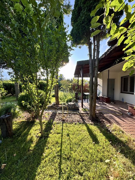 Ogród Działkowy na Rod Koninko