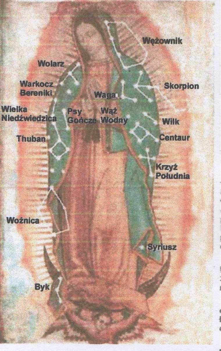 Żywy, Cudowny obraz Matki Bożej z Guadalupe - folderek drukowany