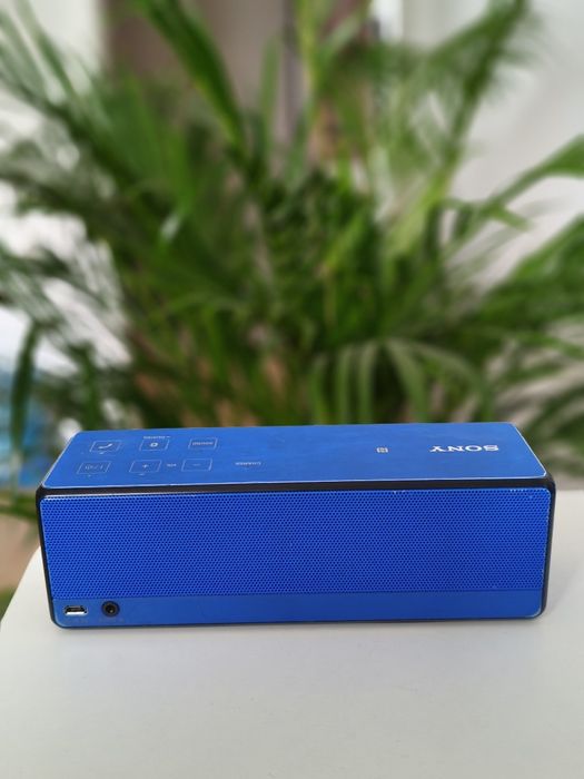 Głośnik Sony SRS-X33