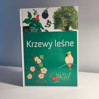 Krzewy leśne książka dla dzieci