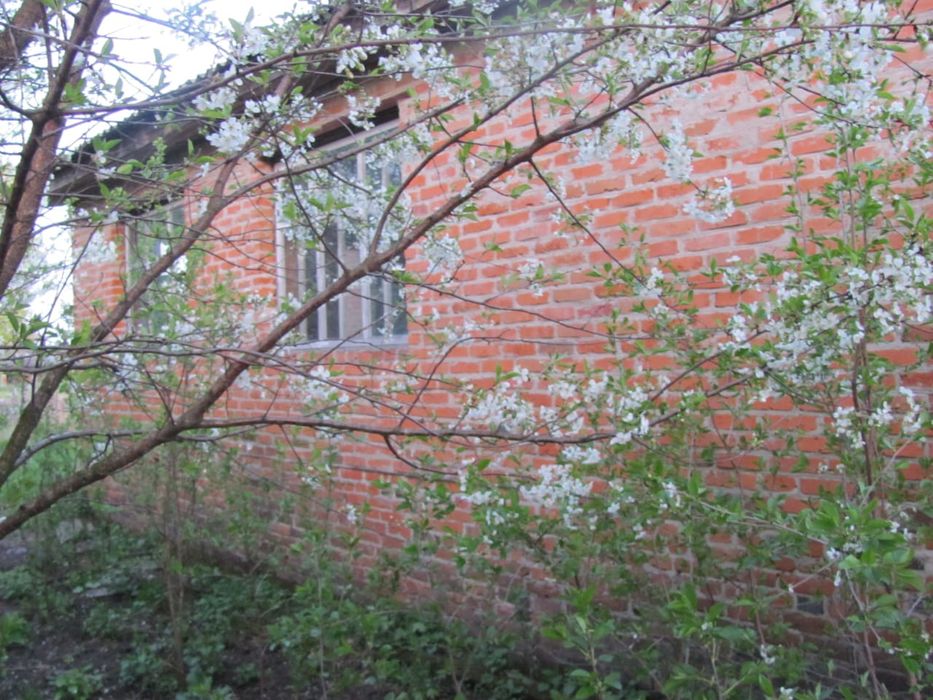 Продам будинок с. Тупичів