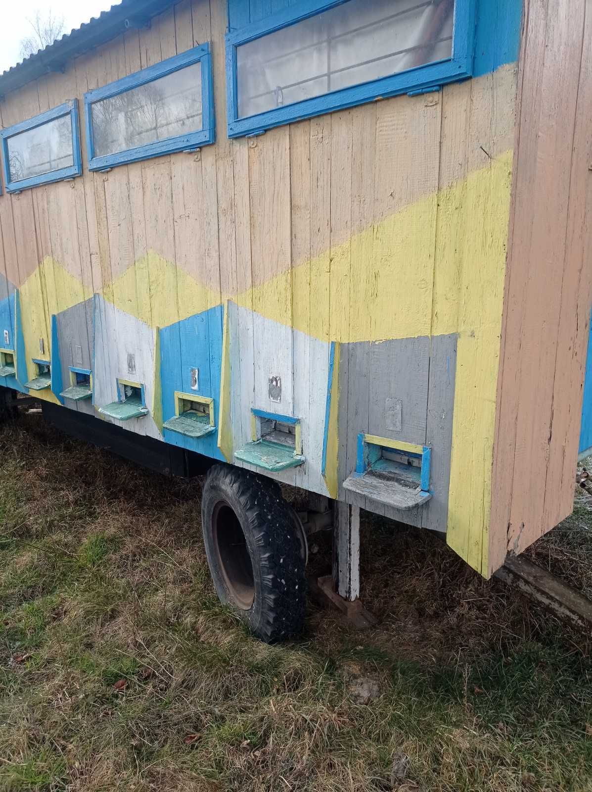 бджолопавільйон / бджолиний павільйон