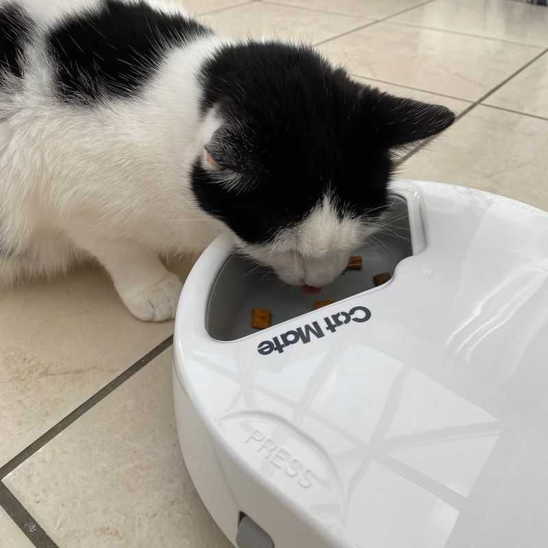 Cat Mate C500, automat na karmę z wkładami chłodzącymi OKAZJA