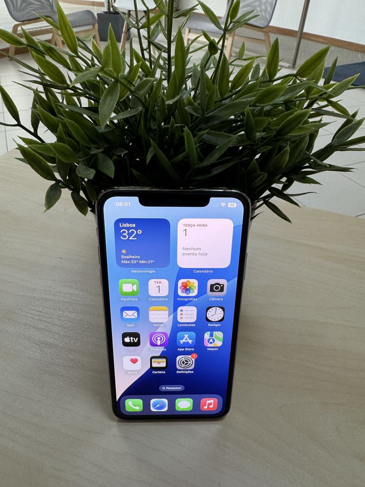 iPhone 11 Pro Max 512Gb