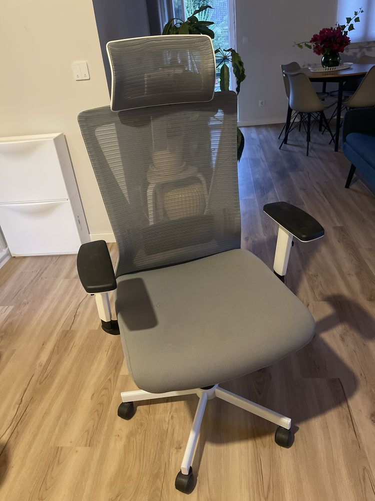 Cadeira ergonomica - poucos meses de uso