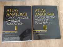 Atlas anatomii topograficznej zwierząt domowych cz. II oraz III
