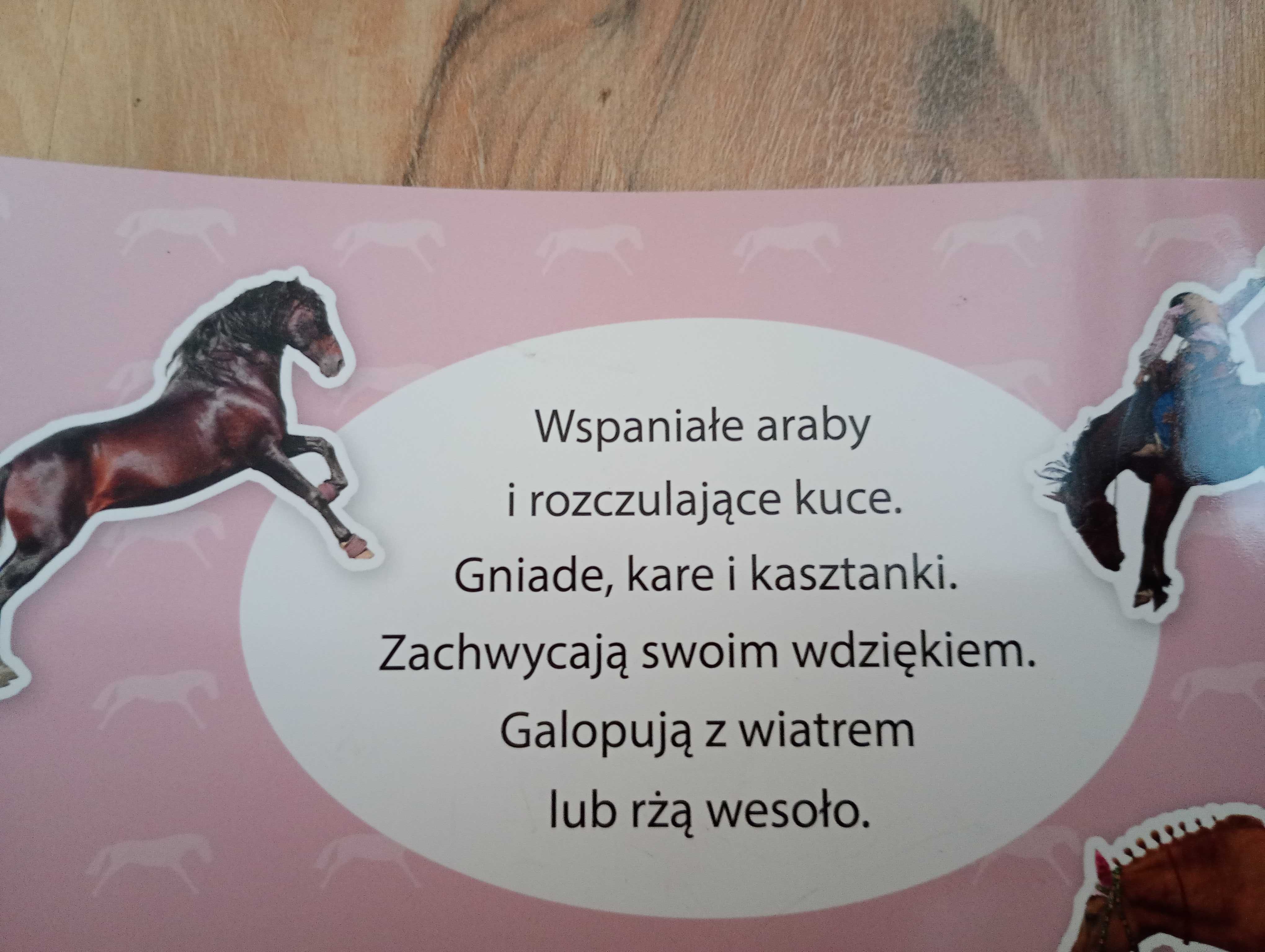 Naklejki konie książka, album