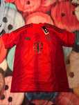 Camisola bayern munchen 24/25