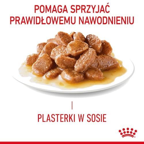 Karma dla kotów - Royal Canin - ochrona dolnych dróg moczowych 85g