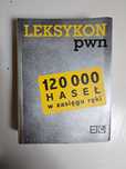 Leksykon PWN 120 000 Haseł w zasięgu ręki Praca zbiorowa
