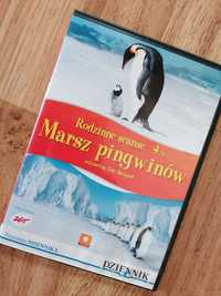 Marsz pingwinów - kino familijne