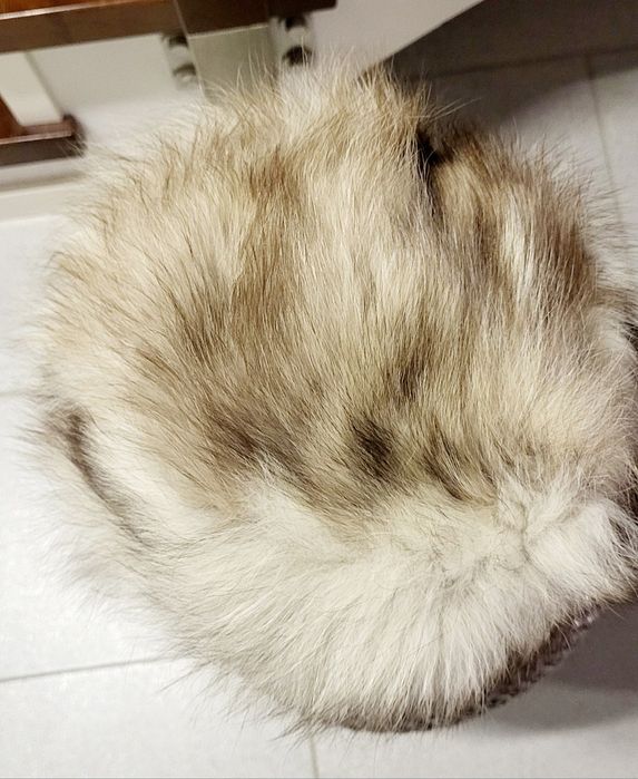 Toczek z futerka jenota