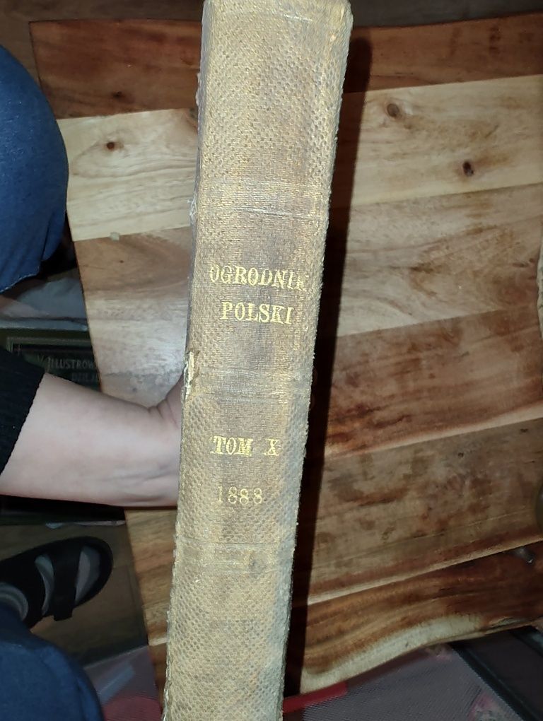Ogrodnik Polski Tom X- Rok X 1888 r.