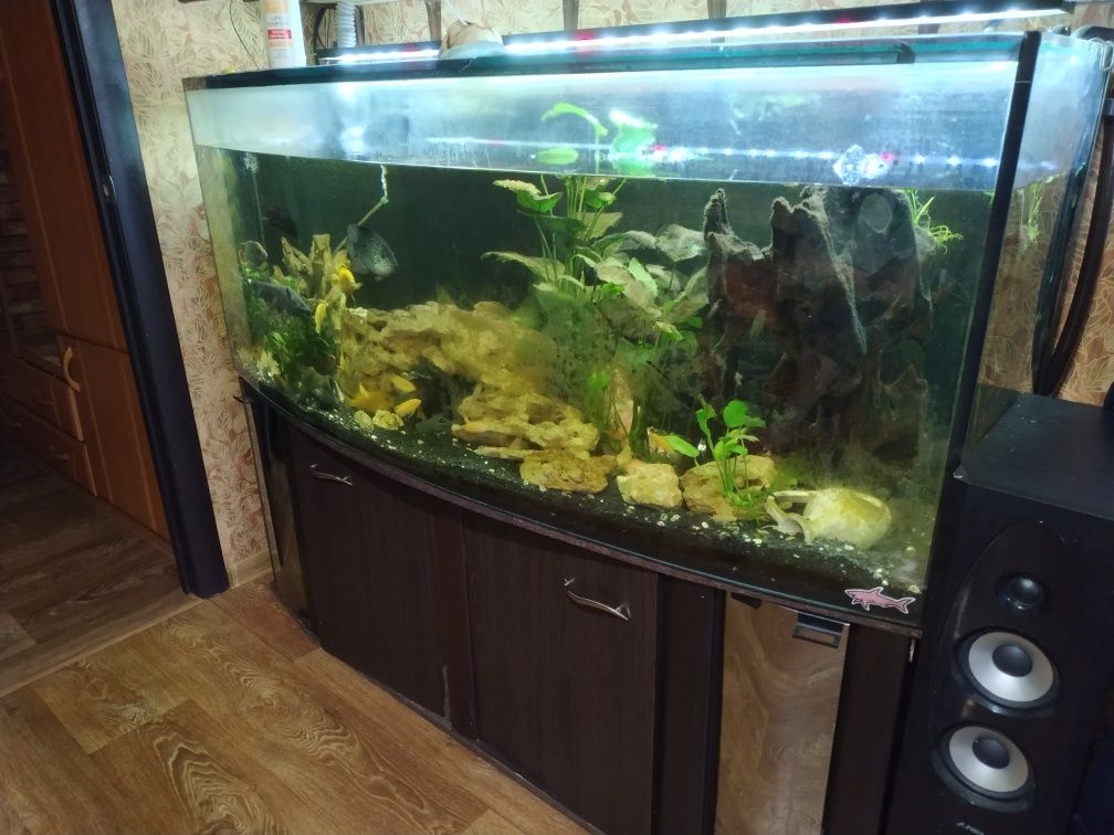Продам акваріум з обладнанням