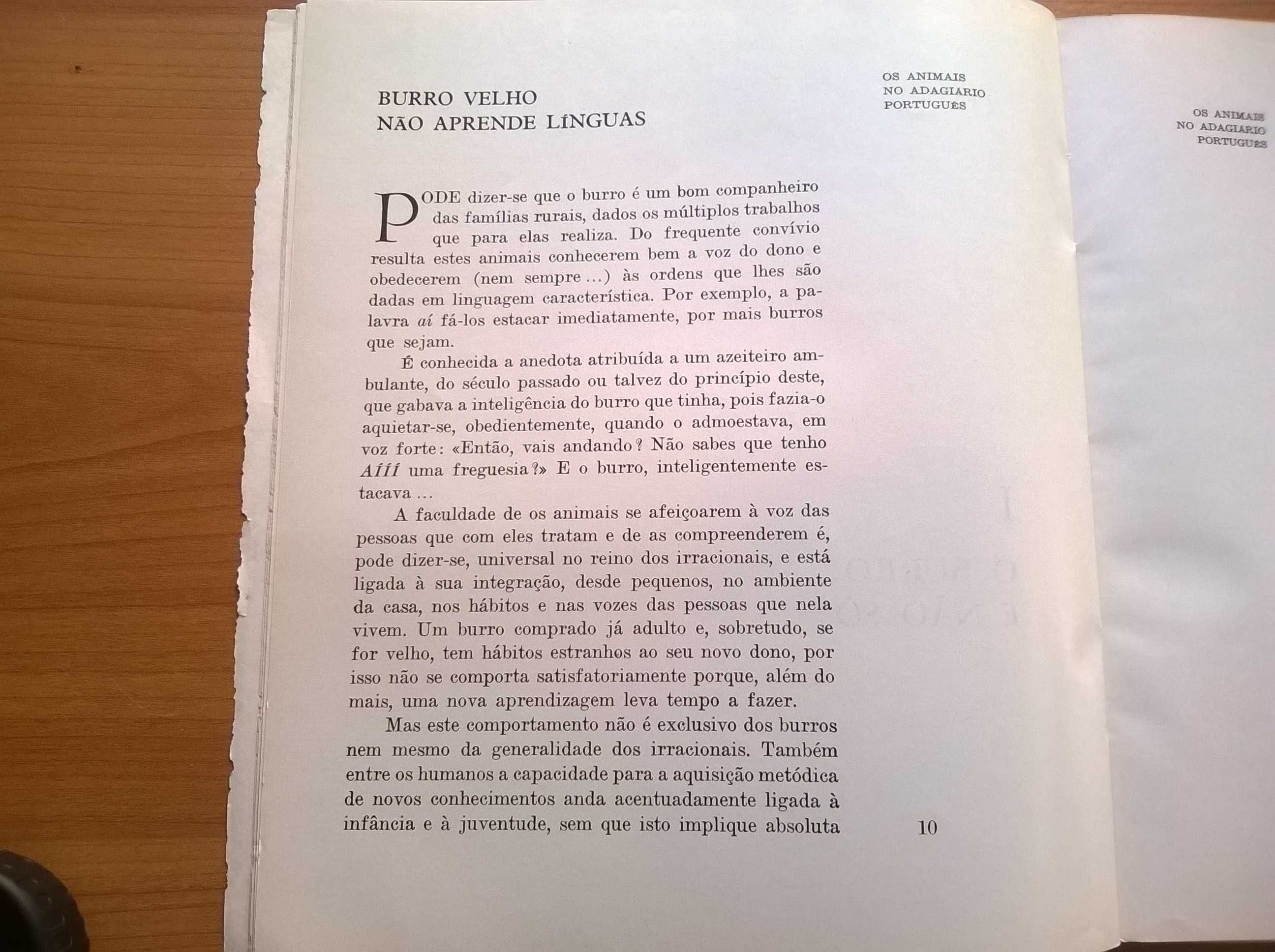 Os Animais no Adagiário Português - António Jacinto Ferreira