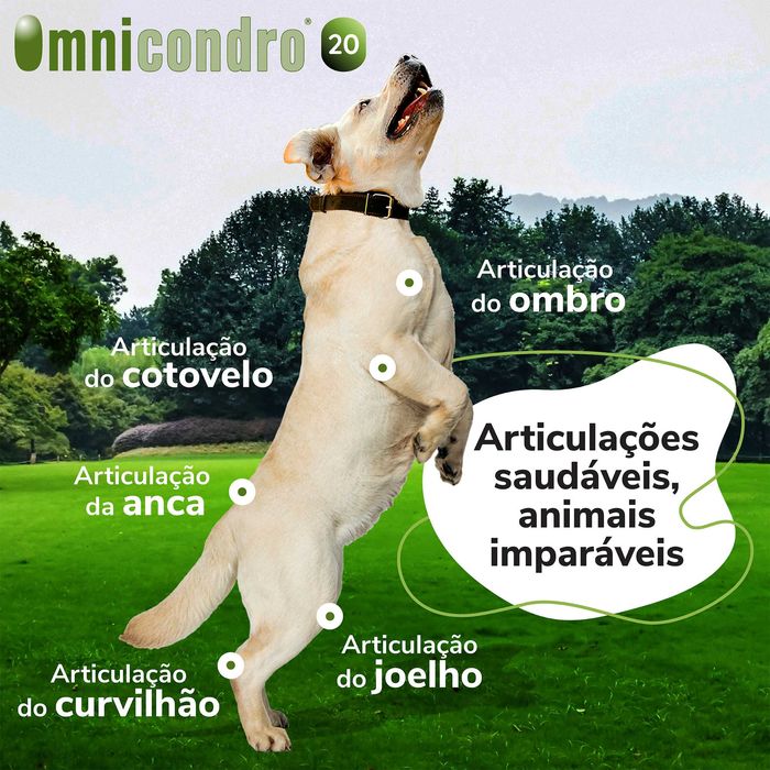 Omnicondro 20 (60 Comp.) | Entrega 24H | Envio Grátis+Oferta SURPRESA