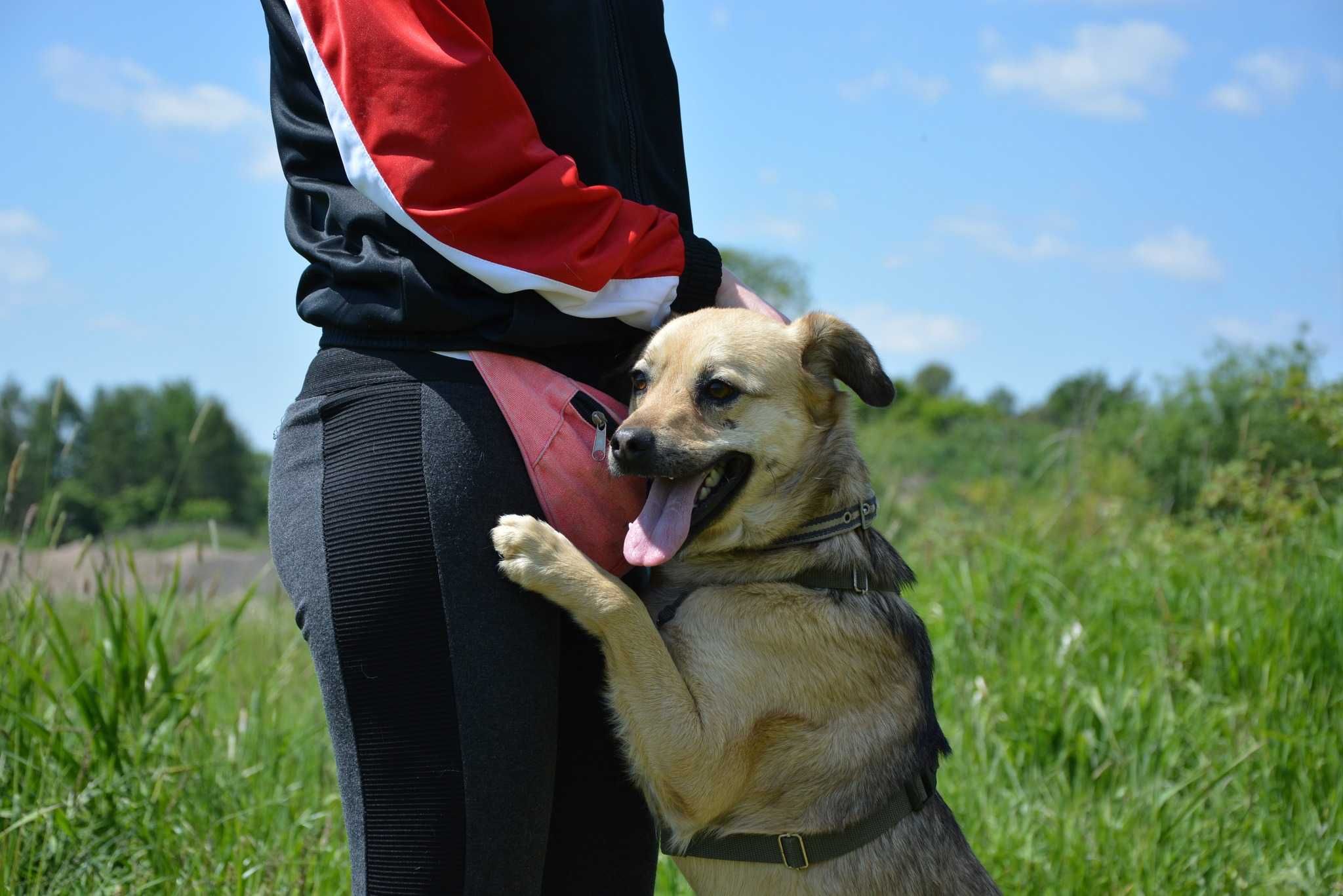 Buck – serce na łapach, które chce być kochane