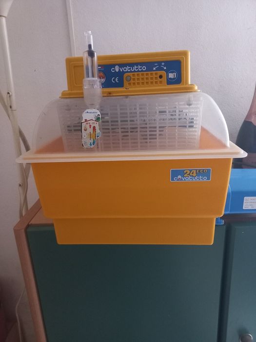 Chocadeira 24 Covatutto