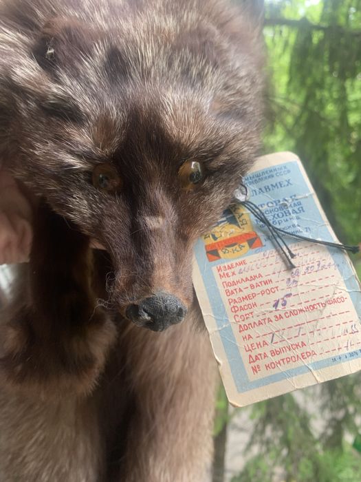 Чернобурка ! Оригинал