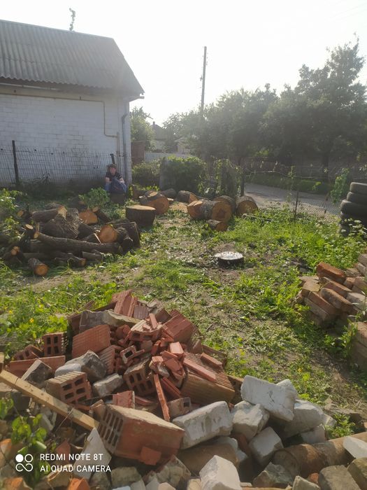 Спил дерев. Не дорого, якісно та швидко