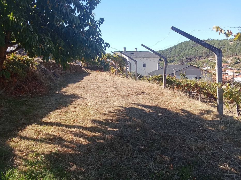 Terreno para cultivo/ outros