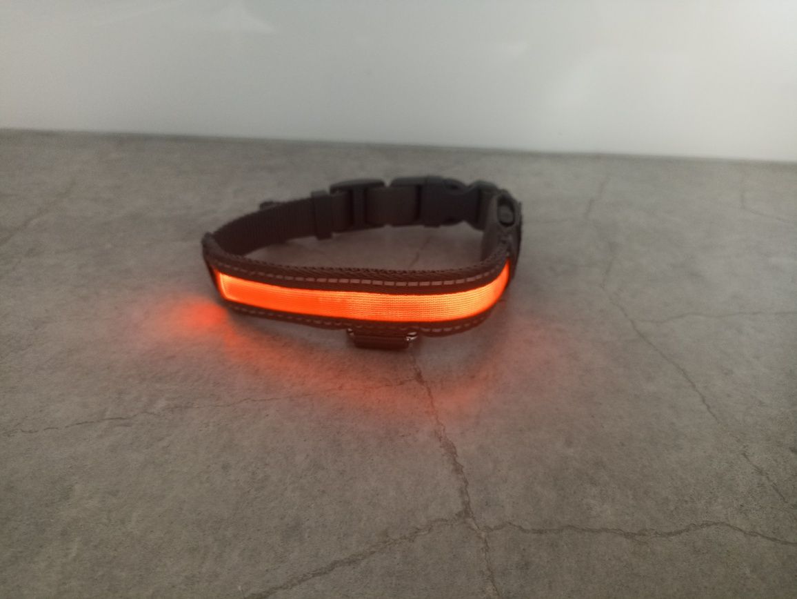 Obroża LED Zoofari, rozmiar S