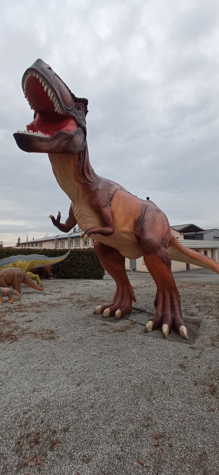 Dinozaur T-rex XXL laminat figura ogrodowa