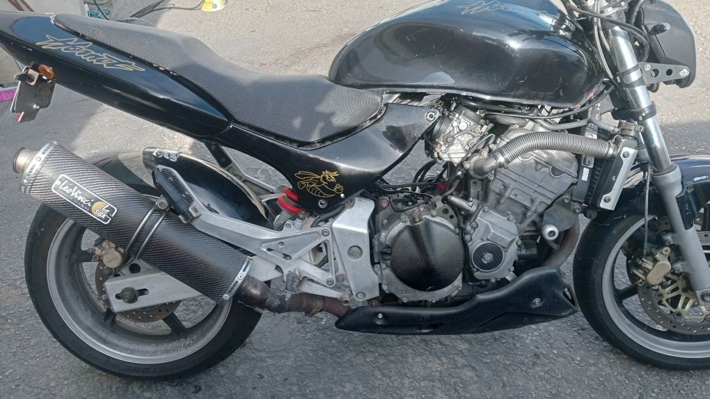 Hornet 600 67 kW