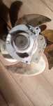 Wentylator lodówki Beko gn163130x