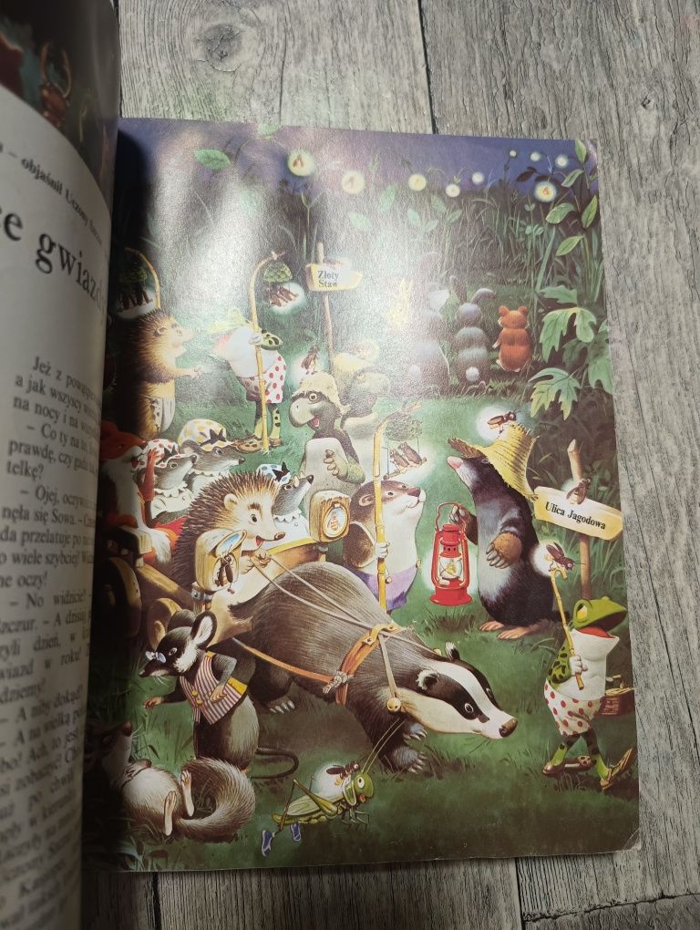 Bajki leśnej Krainy
