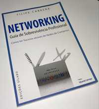 Networking: guia de sobrevivência profissional