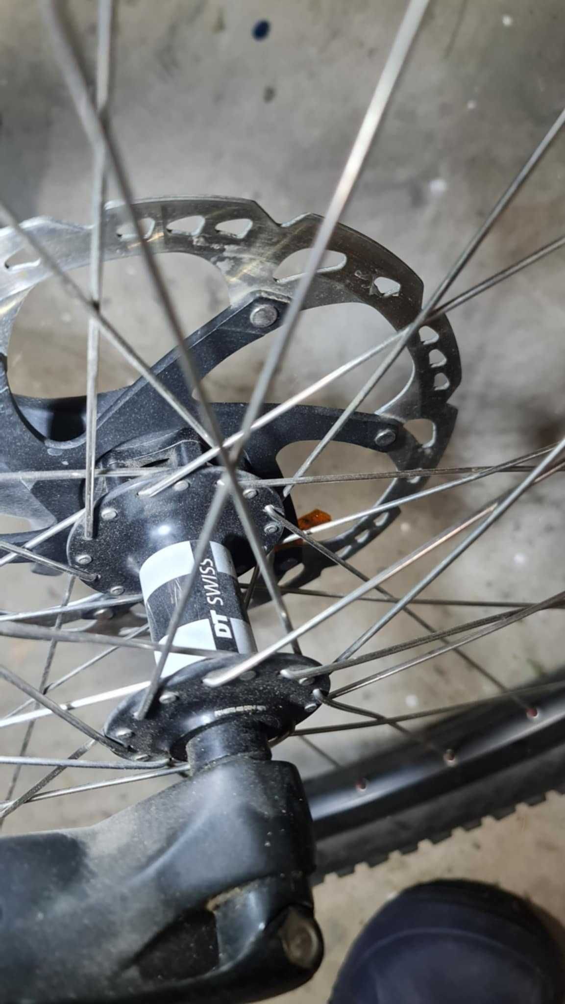 Dartmoor Hornet 2021 custom M