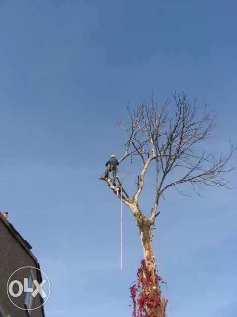 Wycinka drzew trudnodosępnych.