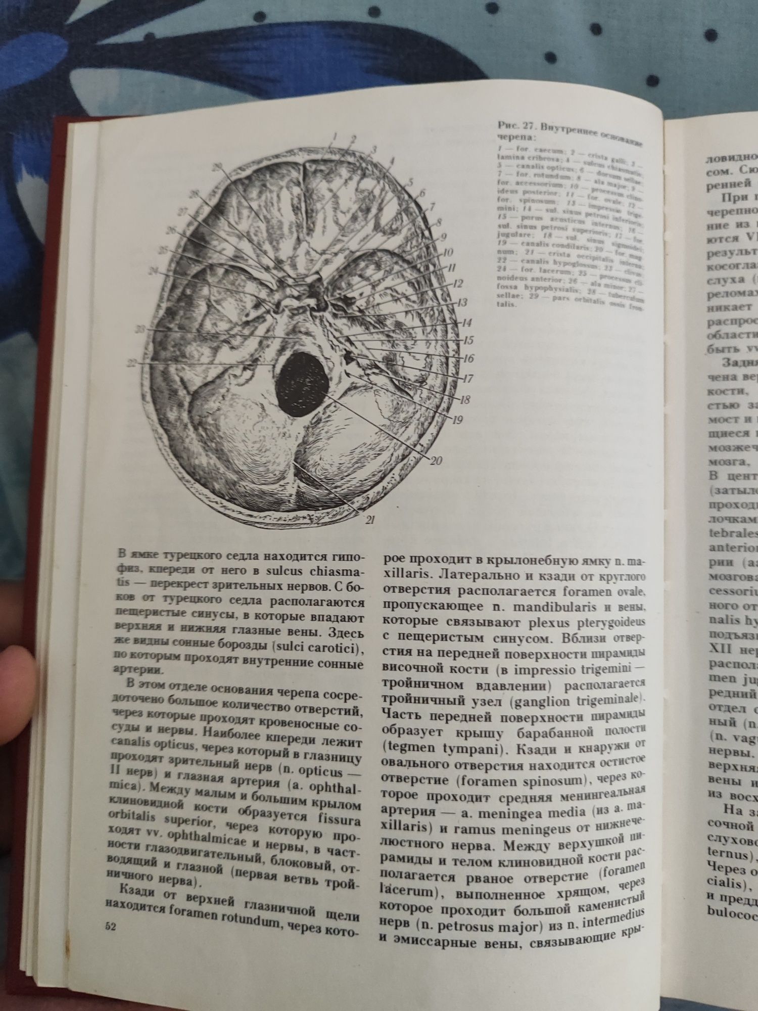 Оператывна хирургия и топанрафична анатомия Кульчицкий