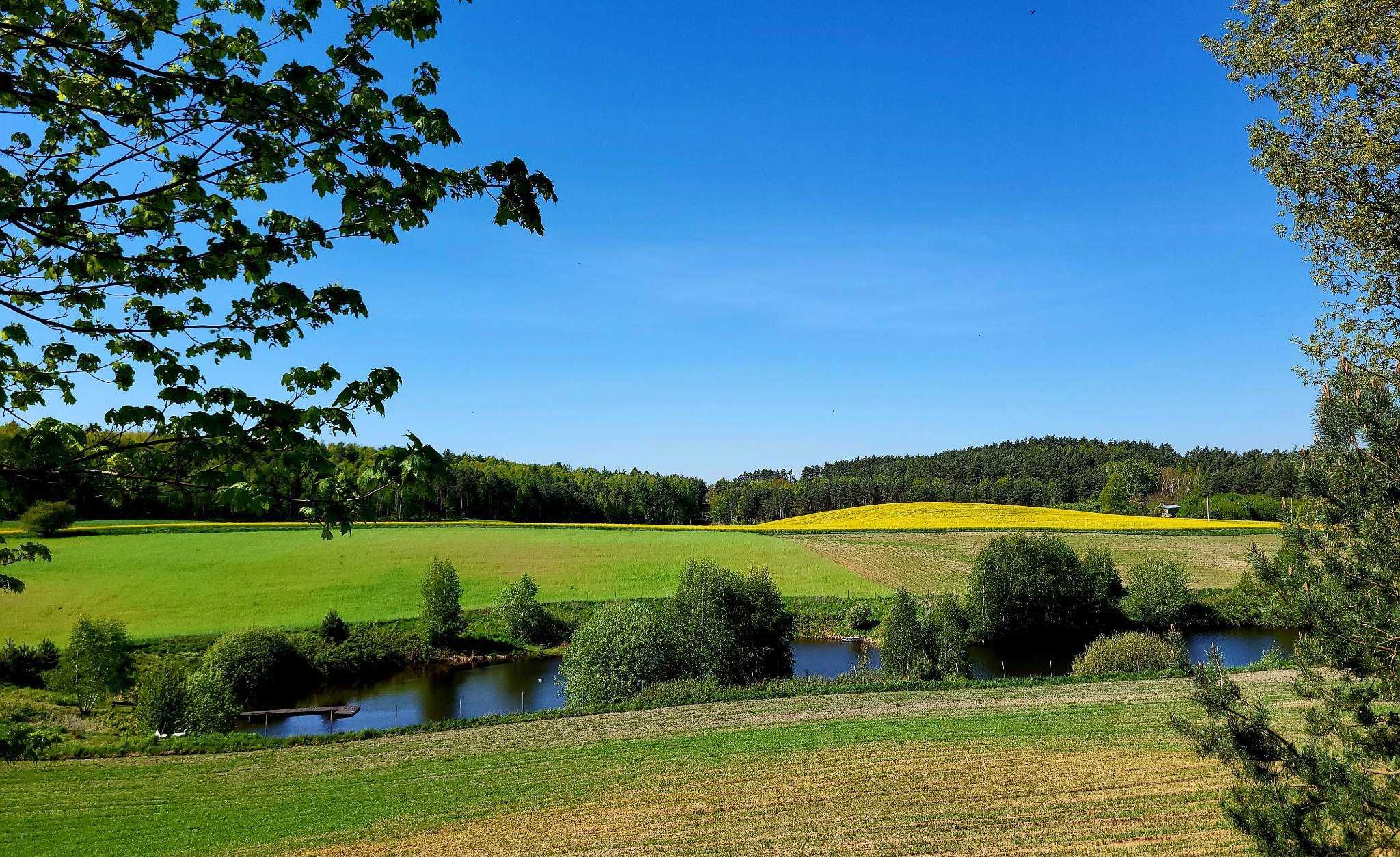 Domki letniskowe nad łowiskiem,jezioro,las cisza