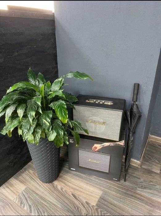 Акустична система Marshall Loudest Speaker Woburn III