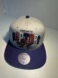Czapka Mitchell&ness.