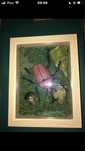 Żuk skarabeusz w ramce fake taxidermia shadow box
