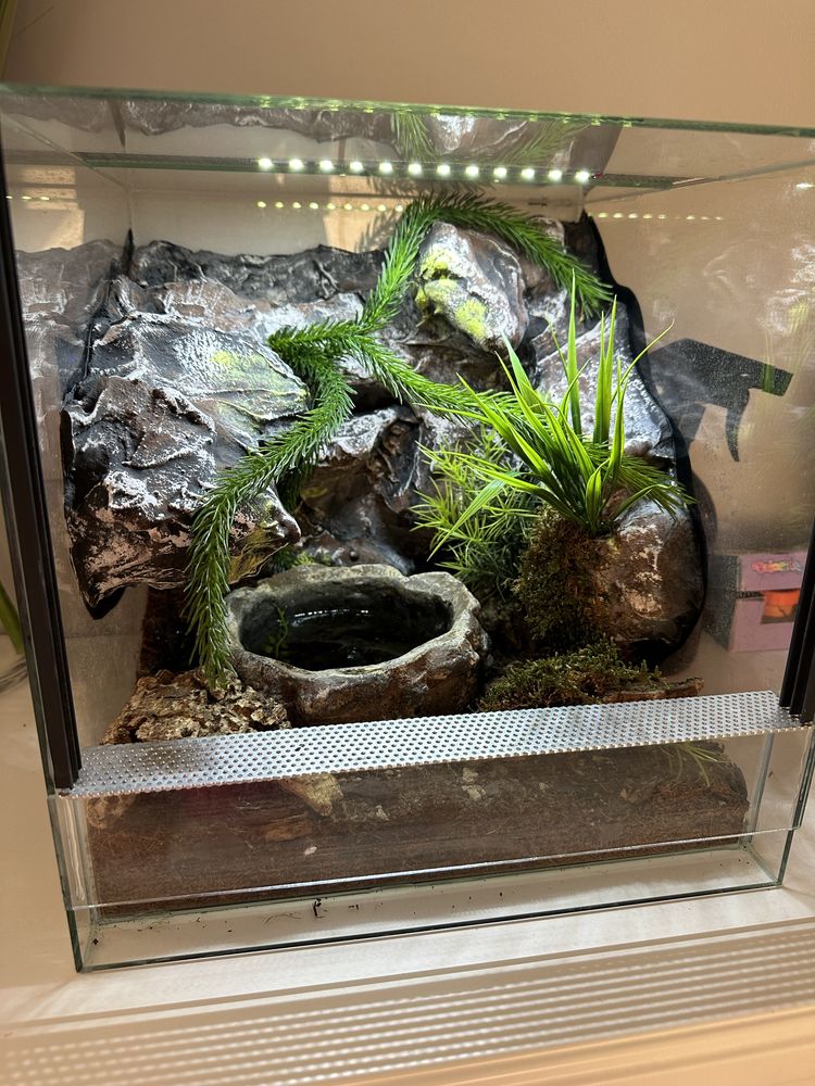 Terrarium przeszklone z oswietleniem