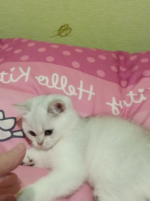 Чекаю тебе моя мамулічка