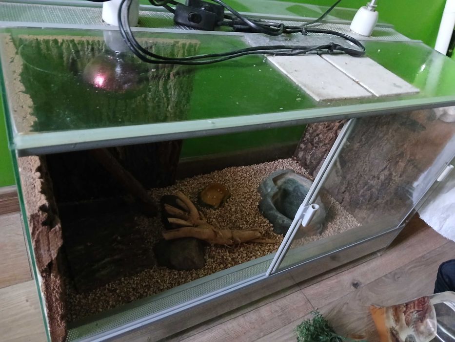 Sprzedam Terrarium